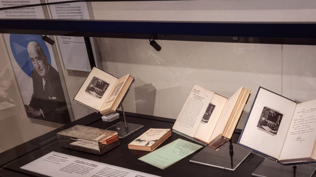 Museum Display Case